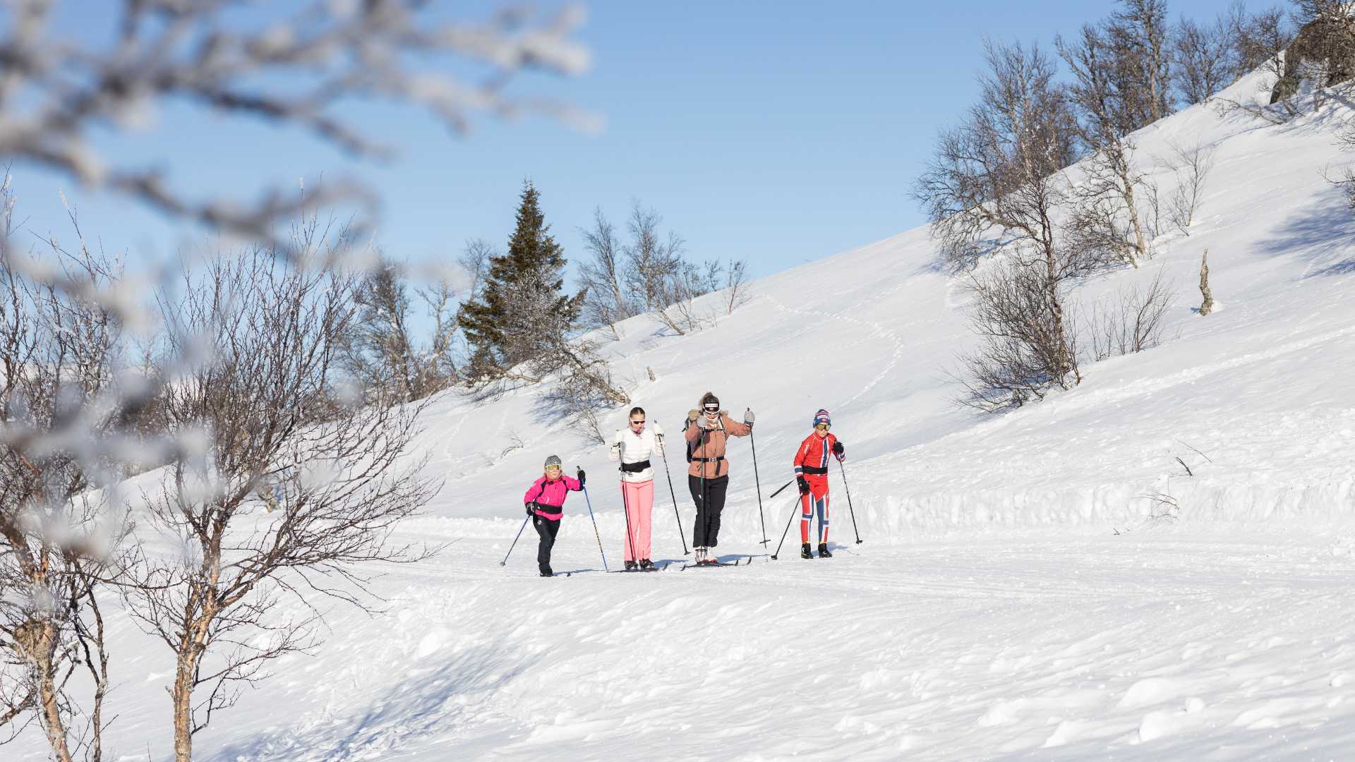 Familie på skitur i solfylt vinterlandskap med snø og trær, idyllisk natur i fjellet.