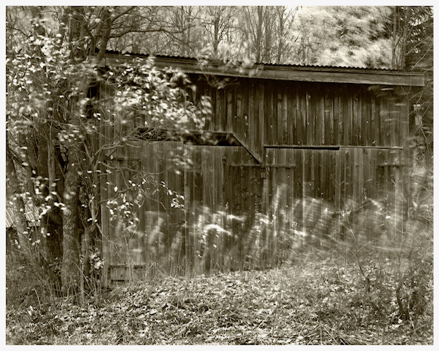 Gammelt treskur i skogen omgitt av trær og høstløv i sepia-toner.