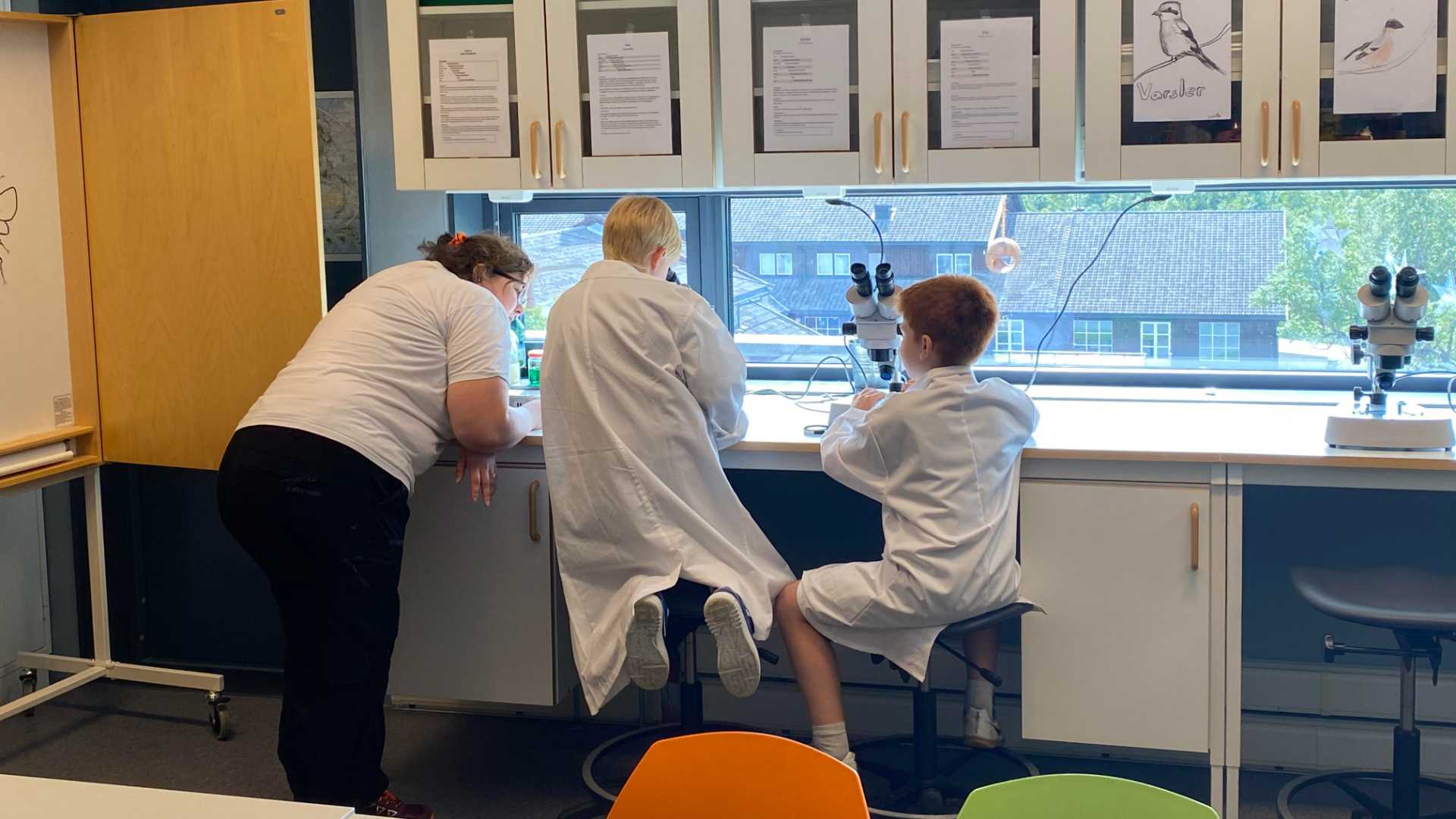 Tre personer i labfrakker undersøker prøver med mikroskoper i et lyst laboratorium.