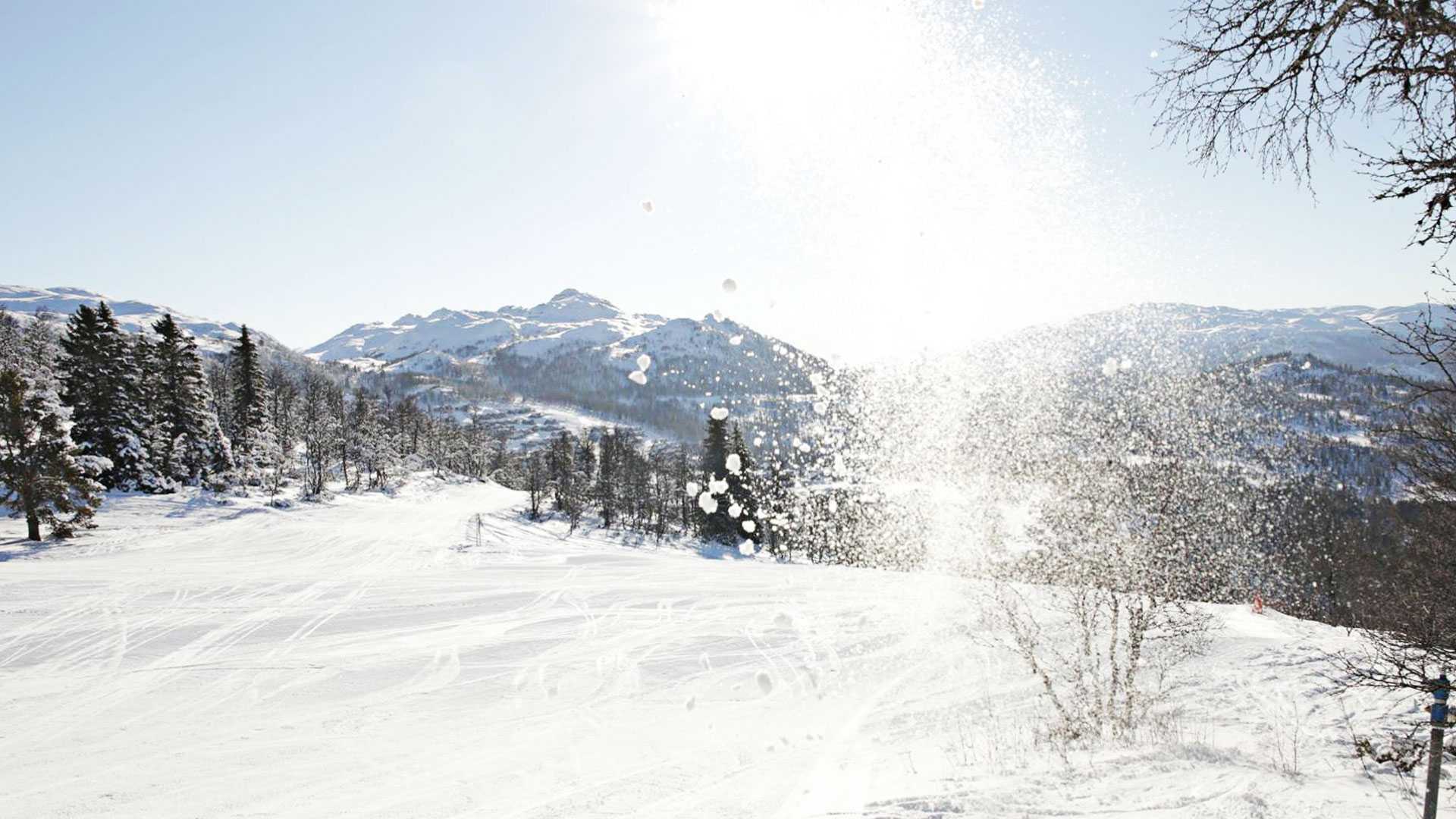 Snødekte fjell og trær under klar himmel i vintersol, med snøsprut i forgrunnen.
