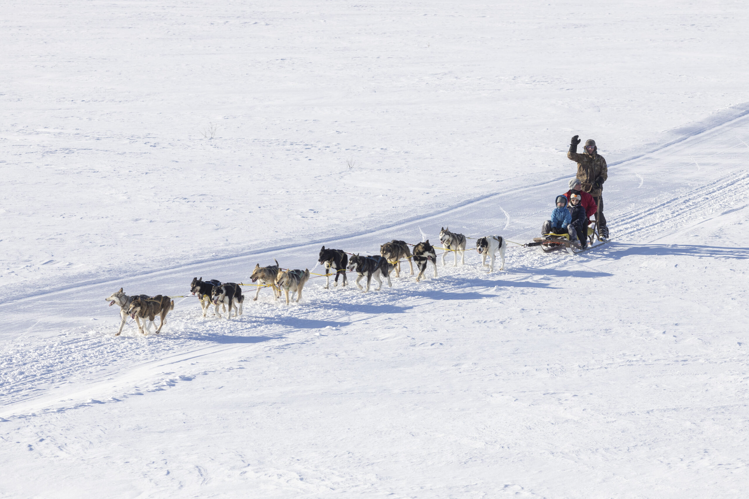 Hundekjøring på snødekt landskap, tre personer på slede trukket av hunder, vinteraktivitet.