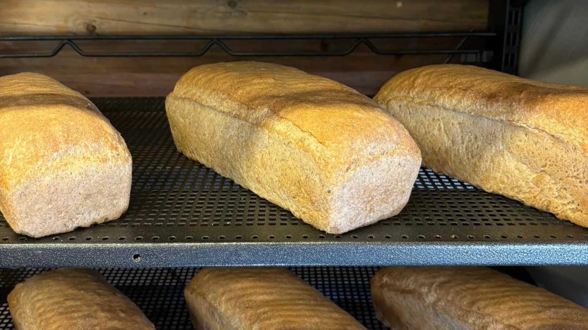Ferske brød på bakerihylle, klare til servering. Naturlige ingredienser for en sunn livsstil.