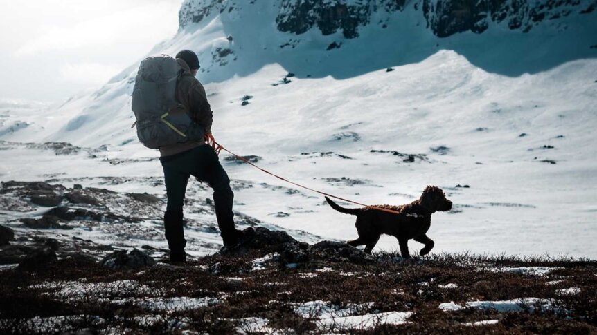En person med ryggsekk går tur med hund i snødekt fjellandskap. Perfekt for friluftsliv og hundevennlige eventyr.