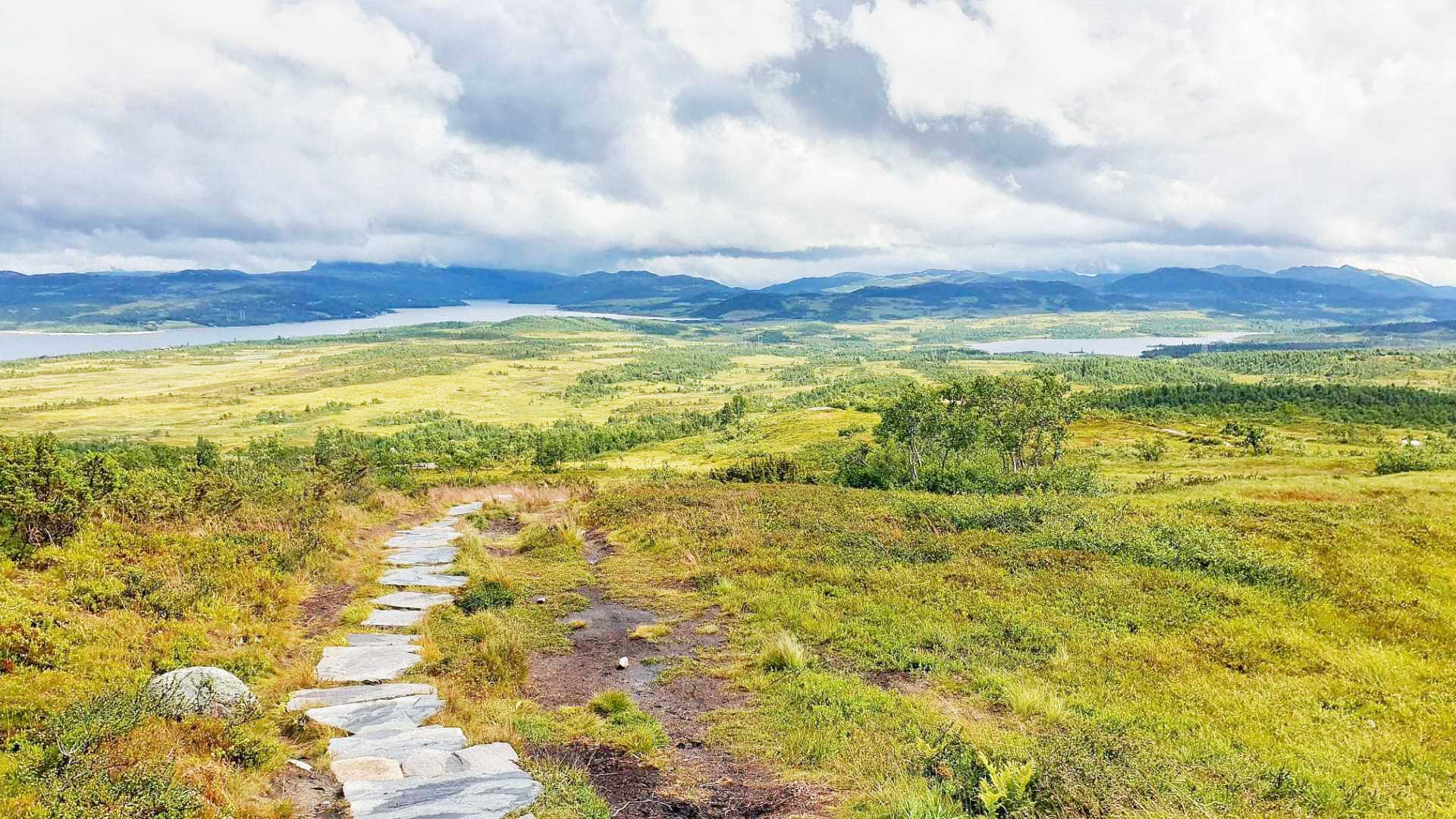 Bilde av en steinlagt sti som fører til en vakker utsikt over grønne landskap og innsjøer i Norge.