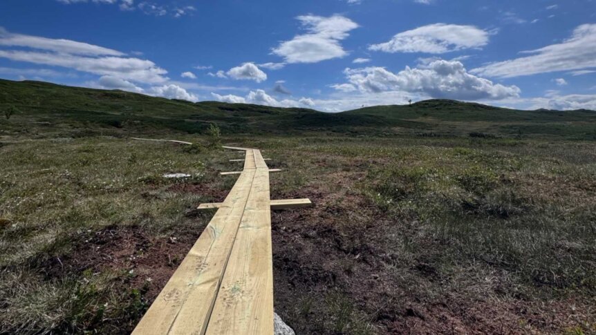 Langt brett mellom grønne enger under en blå himmel med skyer, perfekt for turliv og naturopplevelser.