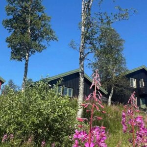 Rødt og svart hus omkranset av grønne trær og rosa blomster under en klar blå himmel i Norge.
