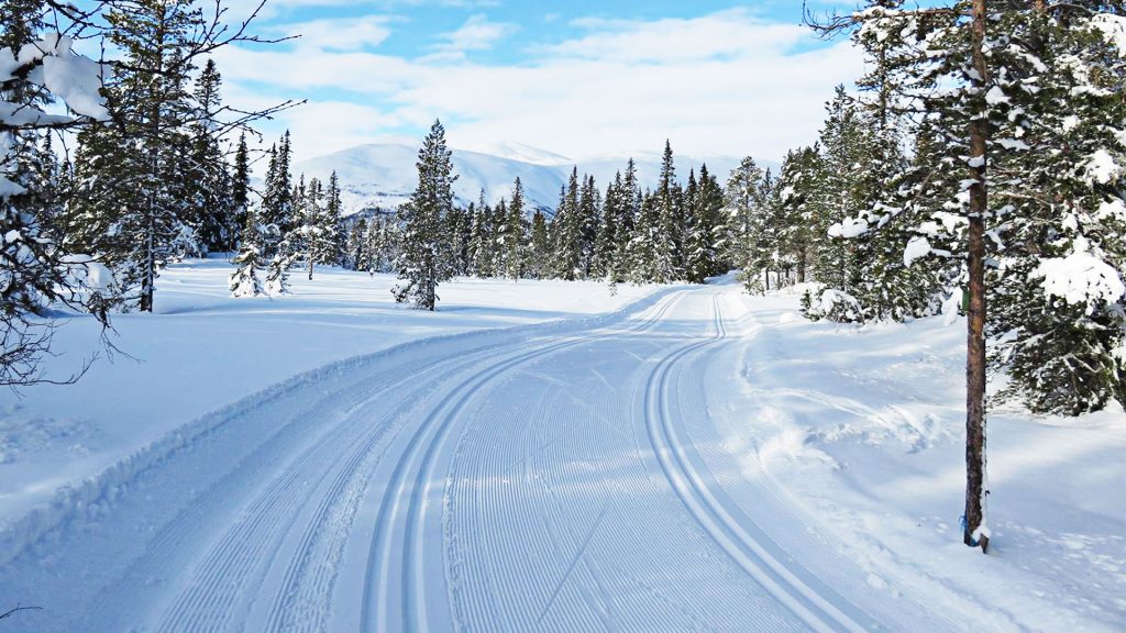 Snødekt skiløype gjennom skoglandskap, klar blå himmel i bakgrunnen. Perfekt for vinteraktiviteter i Norge.