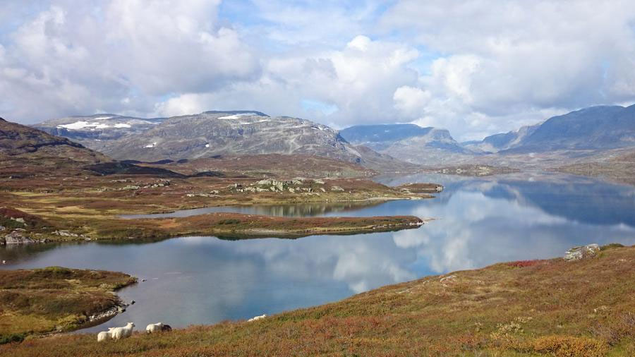Fjellandskap med innsjø, snødekte fjelltopper og sauer i forgrunnen under delvis skyet himmel.
